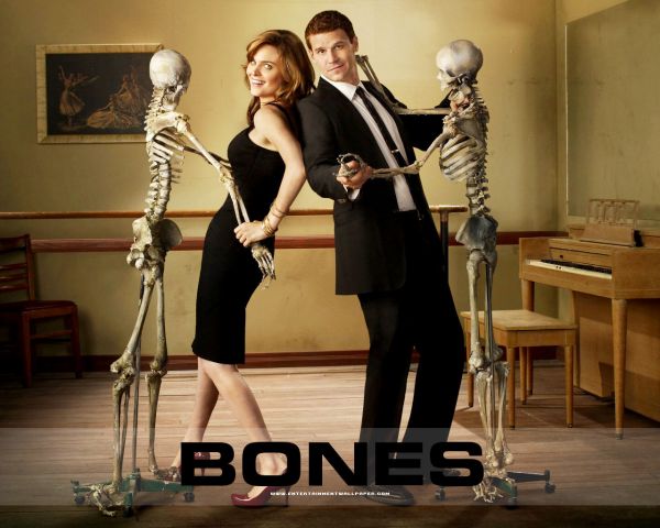 Bones 7 Temporadas + Frete Grátis